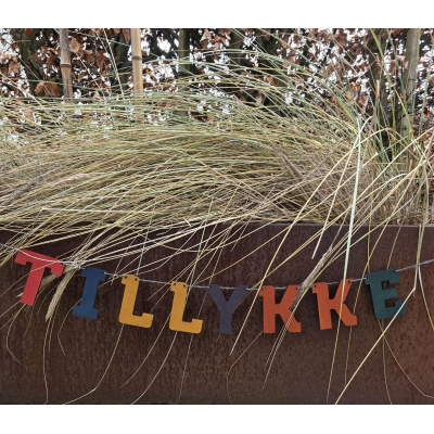 Tillykke
